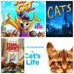 Cat Movies: a Purr-Fect Blend of Feline Charm and Cinematic Delight