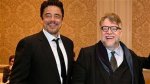 Exploring the Connection: Benicio Del Toro Related to Guillermo