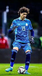 Memo Ochoa: the Heart of the Soccer Team