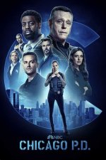 The Comprehensive Guide to the Chicago Pd Cast: Meet the Team Behind the Hit Series