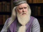 The Enigmatic Persona of the Albus Dumbledore Actor