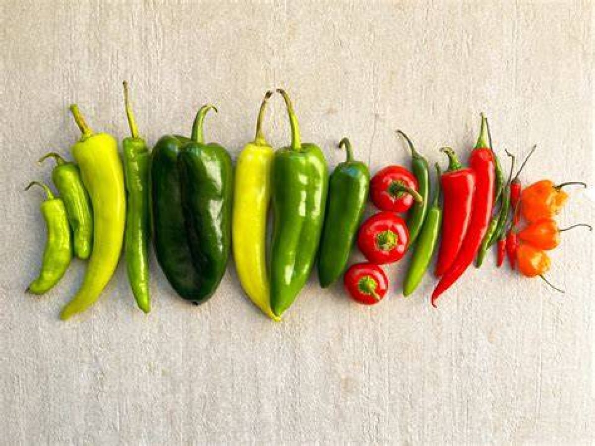 The Ultimate Guide to Chili Peppers: Your Perfect Match for a Spicy Romance