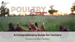 Understanding Ideal Poultry: a Comprehensive Guide to Quality Poultry Farming