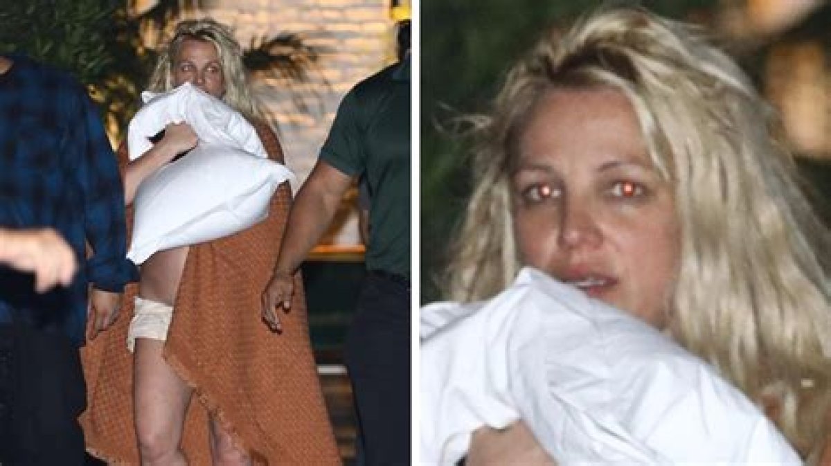Understanding the Britney Spears Nipple Incident: a Deep Dive into Celebrity Culture